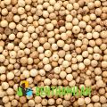 Senthamilan Common Raw unbleached white pepper