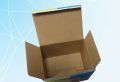 Kraft Paper Printed Vikas Packaging offset printing kraft corrugated box