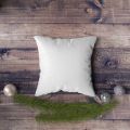 Duck Feathers Plain white duck feather pillows