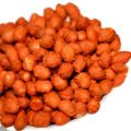 Organic Brown Masala Peanuts