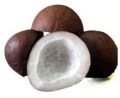 Dry Coconuts for Ayurvedic Medicine