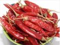 DRY RED CHILLIES