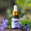 Liquid Shree Herbal 10ml shree lavender oil