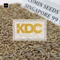 Singapore Quality Cumin Seeds