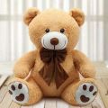 200 G Bhavani Toys stuffed teddy bear
