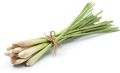 Natural Lemon Grass