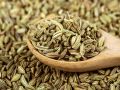 Natural Raw Green Seeds fennel seed