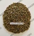 robusta cherry ab unwashed screen green coffee beans