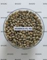 Wet process arabica plantation pb peaberry washed green coffee beans