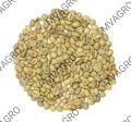 robusta cherry aaa unwashed scr 19 green coffee beans