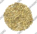 Washed Robusta Parchment PB Peaberry Green Coffee Beans