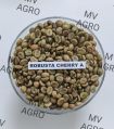 Common Natural Organic Unwashed Natural Dry robusta cherry a unwashed green coffee beans