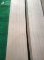 Wood 1kg Light Brown White Plain english willow bat