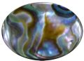 18*25mm Oval Natural Abalone