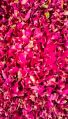 dry rose petals