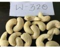 Konkan Kernel W320 cashew Kernels