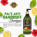 100ml Anti Dandruff Shampoo