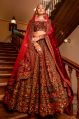 Ladies Designer Velvet Bridal Lehenga Choli