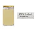 Yash Agro Yellow Liquid Distilled Cow Urine