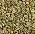 Raw Green Arabica Coffee Beans