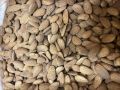 Common Hard california almonds