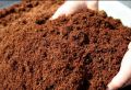 Cocopeat Powder