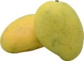 Fresh Chaunsa Mango