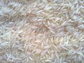 Organic PUSA Sella Basmati Rice
