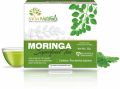 Herbal Moringa Tea