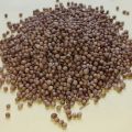 Brown Dried Coriander Seeds