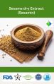 Dry Sesame Seed Extract