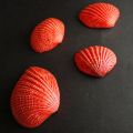 Red Mermaid Natural Seashell