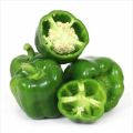 Green Capsicum