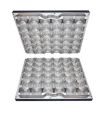 P20 plastic egg tray mould