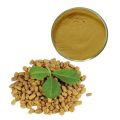 Fenugreek Methi Extract Powder