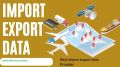 ALL ALL ALL ALL ALL import export database service