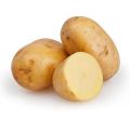 A Grade Potato