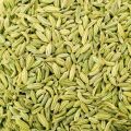 Organic Green fennel seeds