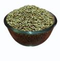 Green organic coriander seeds