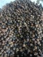 Natural Seeds Welldon black pepper
