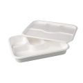Rectangular Square White Plain bagasse meal tray