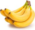 Yellow Organic fresh banana
