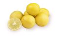 Yellow Organic Round fresh lemon