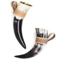 Drinking Horn