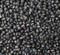 Natural black matpe beans