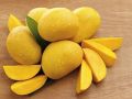 Yellow Natural fresh mango