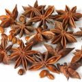 Whole Brown Seeds Star Anise Seed