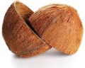 Raw Common Brown coconut shell