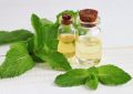 Mentha Oil