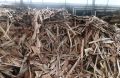 core veneer waste wooden scrap